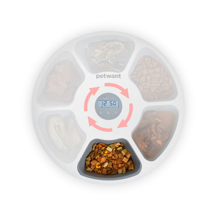 Pink Macaw and Friends 6-meal automatic pet food feeder with programmable timer for dogs and cats, featuring a digital LED display.