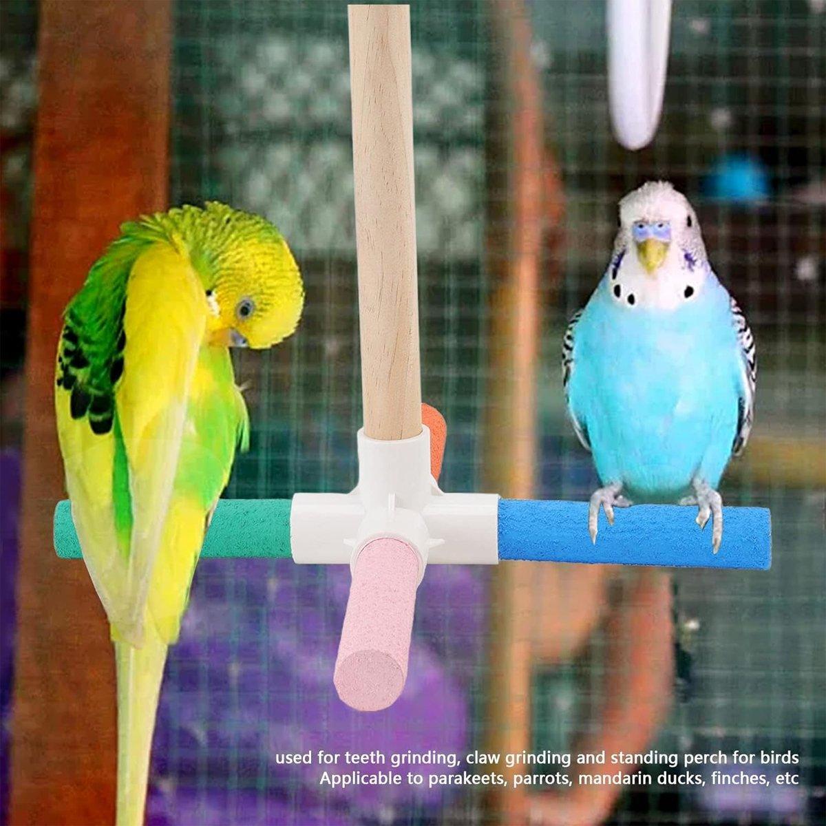 Parrot Toy Bird Stand Colorful Umbrella Perch Claw Grinding Stick 4 Colours - Macaw And Friends