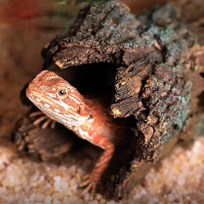 Tree Log Hide Ornament Trunk Tunnel Fish Reptile Tank Resin Aquarium Decoration - Small - Macaw And Friends