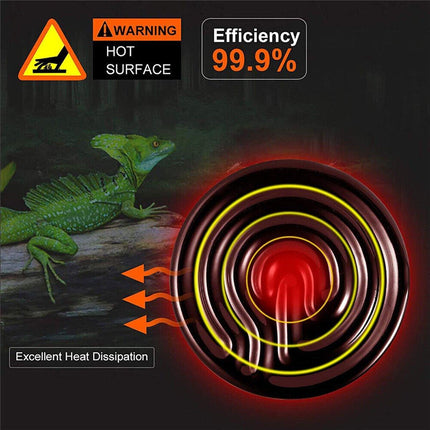 Two 25W ceramic infrared heat lamp bulbs for reptiles and terrariums, designed for reptile habitat heating and lighting.