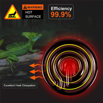 2X Ceramic Infrared Heat Lamp Bulbs for Reptiles and Terrariums - 25W-2PCS - Macaw And Friends