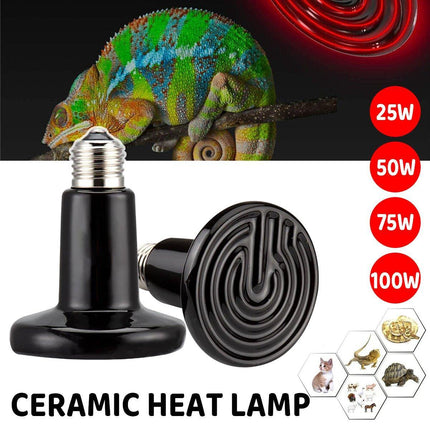 Two Macaw And Friends 50W ceramic infrared heat lamp bulbs for reptile terrariums, ideal for habitat heating and lighting.