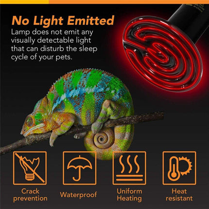 Two 50W ceramic infrared heat lamp bulbs for reptiles and terrariums from Macaw And Friends, ideal for habitat heating and lighting.
