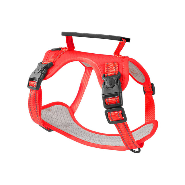 Reflective dog harness and leash by Macaw And Friends, adjustable no-pull vest with handle for training and walking small dogs.