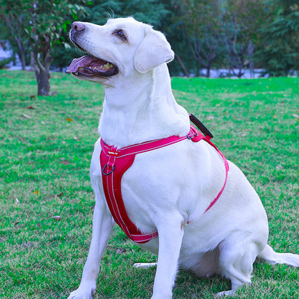 Reflective dog harness with leash by Macaw And Friends, adjustable no-pull vest with handle for training and walking pets, XS size.