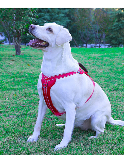 Reflective Dog Harness with Leash, No-Pull Vest Harness for Dogs, Adjustable Dog Vest with Handle, Walking Training Pet Harness xs size - Macaw And Friends