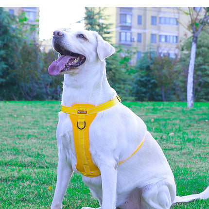 Reflective dog harness with leash from Macaw And Friends, adjustable no-pull vest with handle for walking and training, XL size.