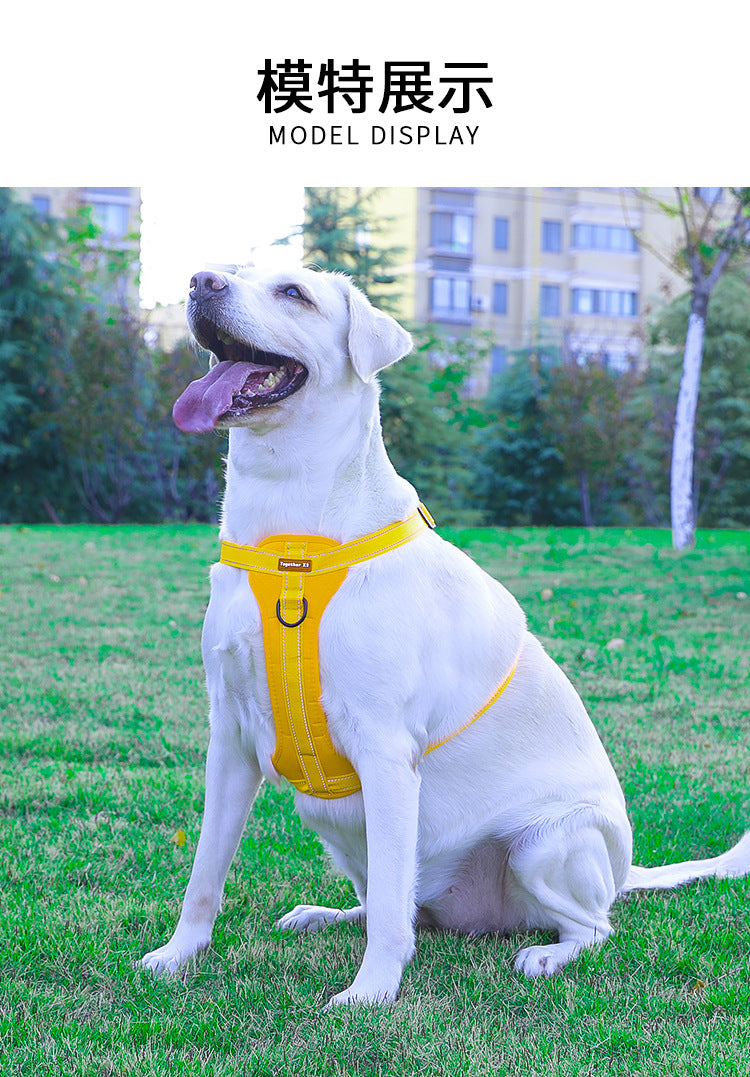 Reflective Dog Harness with Leash, No-Pull Vest Harness for Dogs, Adjustable Dog Vest with Handle, Walking Training Pet Harness XL size - Macaw And Friends