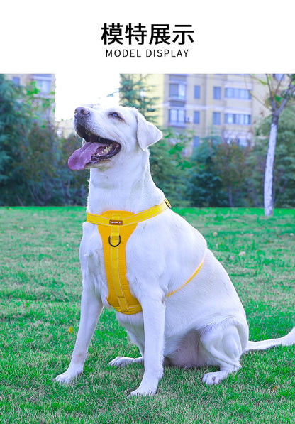 Reflective Dog Harness with Leash, No-Pull Vest Harness for Dogs, Adjustable Dog Vest with Handle, Walking Training Pet Harness XL size - Macaw And Friends