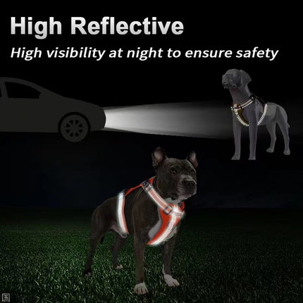 Reflective dog harness with leash, adjustable no-pull vest, handle for training, suitable for medium-sized dogs by Macaw And Friends.