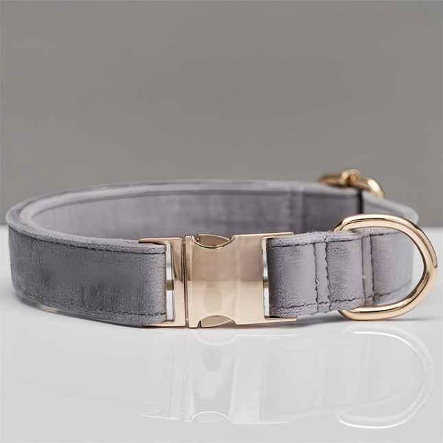 Grey durable nylon dog collar with metal buckle, adjustable for small to large dogs, by Macaw And Friends.