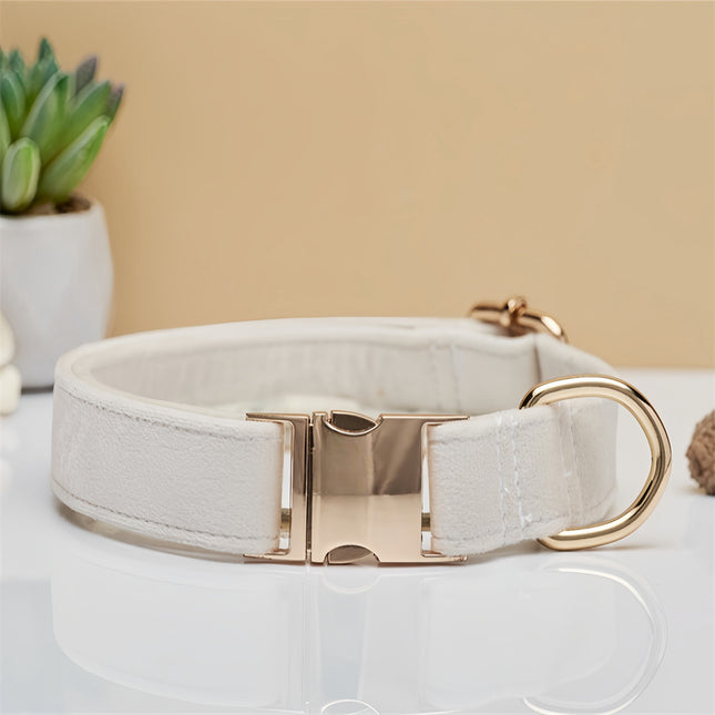 Beige durable nylon dog collar with metal buckle, adjustable for small to large dogs, by Macaw And Friends.