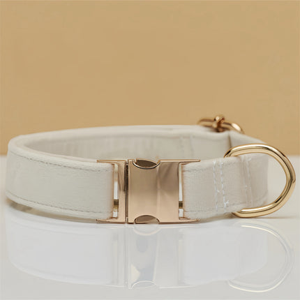 Beige durable nylon dog collar with metal buckle, adjustable for small to large dogs, by Macaw And Friends.