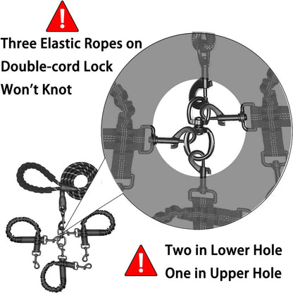 Red 3-in-1 Tangle-Free Dog Leash for 1-3 Dogs - Heavy Duty Bungee Coupler with Reflective Stitching & Padded Handle - Macaw And Friends