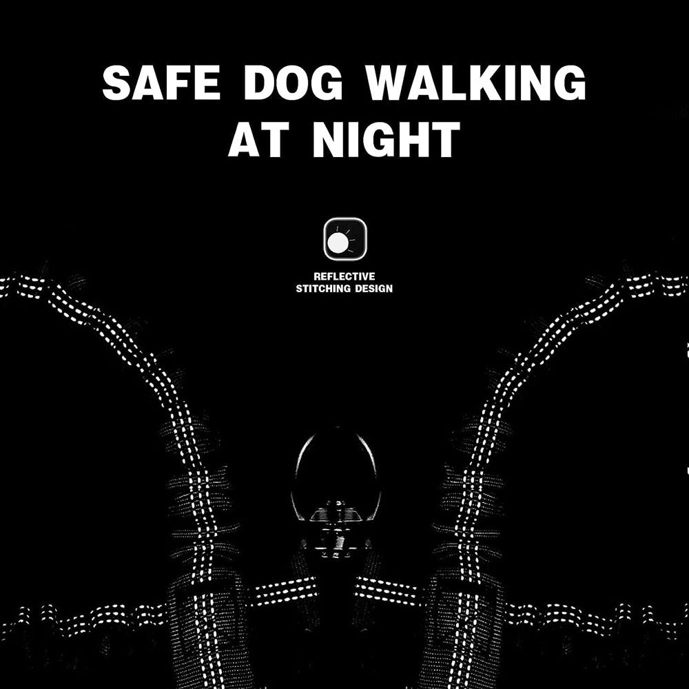 Grey 3-in-1 Tangle-Free Dog Leash for 1-3 Dogs - Heavy Duty Bungee Coupler with Reflective Stitching & Padded Handle - Macaw And Friends