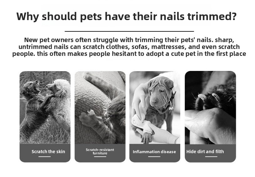 Pet Nail Clippers & File Set for Small Dogs Cats Stainless Steel Claw Trimmer with Safety Guard Non-Slip Handle Grooming Tool Black & Purple - Macaw And Friends