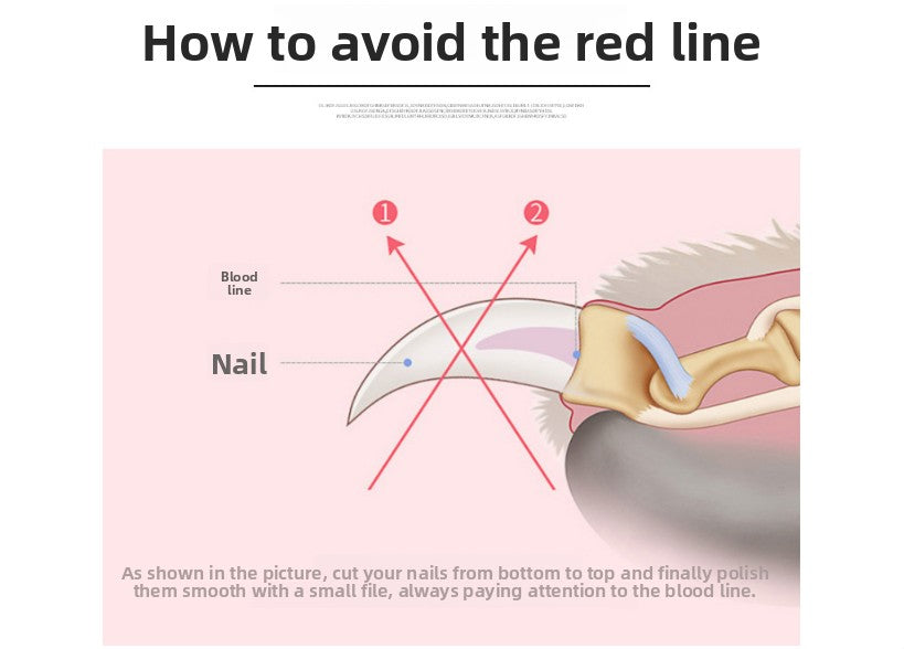 Pet Nail Clippers & File Set for Small Dogs Cats Stainless Steel Claw Trimmer with Safety Guard Non-Slip Handle Grooming Tool Black & Purple - Macaw And Friends