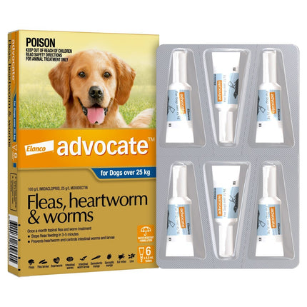 Advocate Flea and Wormer Spot-on for dogs over 25kg, Macaw and Friends brand, 6-pack application on a large dog.
