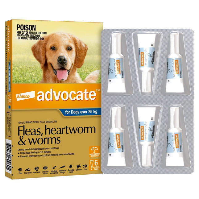 Advocate Flea and Wormer Spot-on for dogs over 25kg, Macaw and Friends brand, 6-pack application on a large dog.
