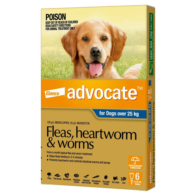 Advocate Flea and Wormer Spot-on for dogs over 25kg by Macaw and Friends, 6-pack, showing packaging and applicator.