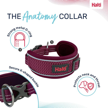 Halti Anatomy Collar