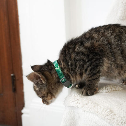 Lahana cat collar by Dan & Sam featuring a vibrant green design, suitable for cats, made by Macaw And Friends.