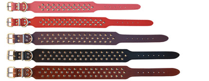 Beau Pets - Studded Leather Collar -Staffordshire Bull Terrier